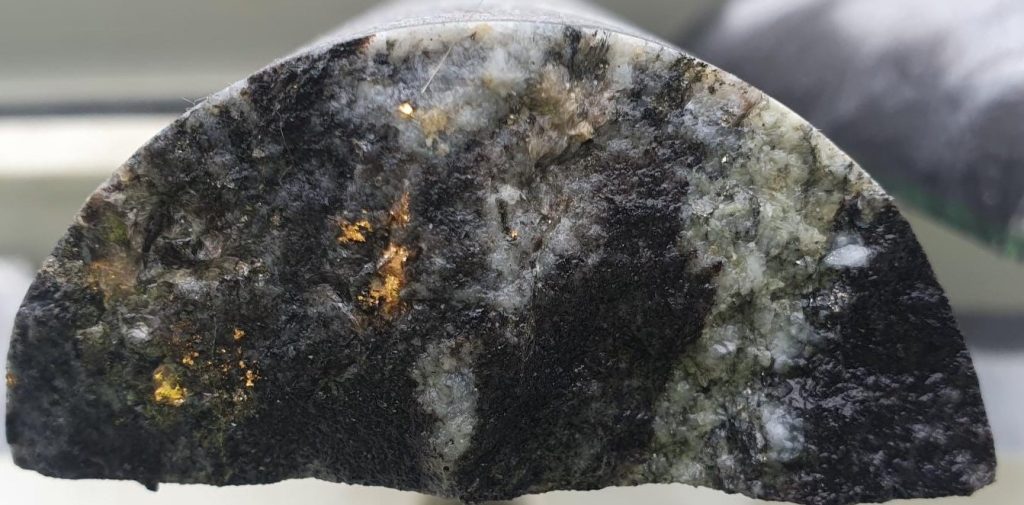 Apollo Project Drill Core