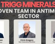 Trigg minerals team