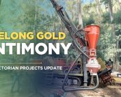 Adelong gold update