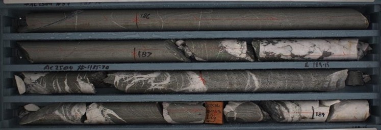 AC2504: 186 - 189m tension vein array in sandstones and grits