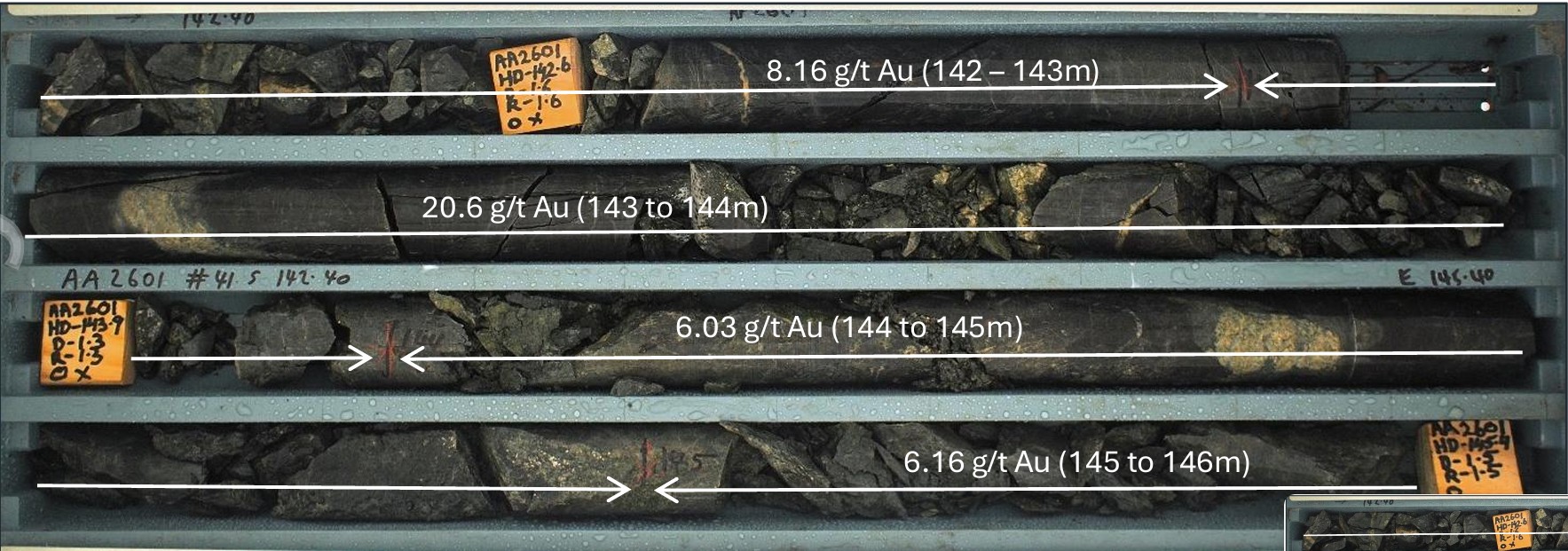 Drill core from hole AA2601 at the Apollo Gold Project, tray 41, 142.4 to 145.4 metres, with gold assay values annotated